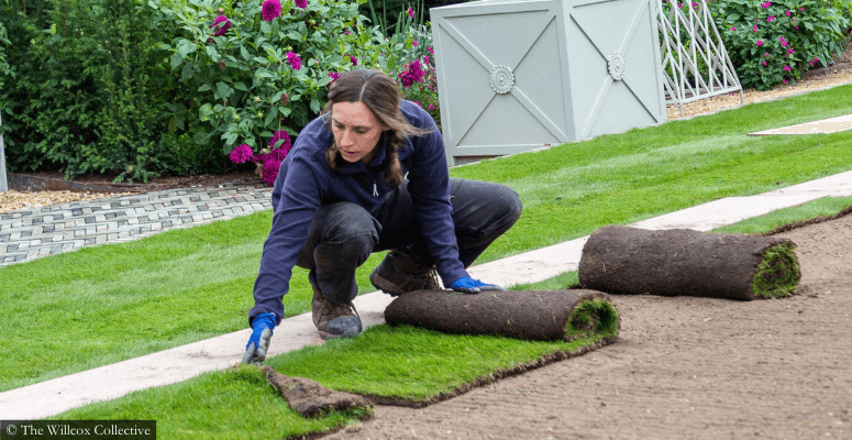 LBEL Winner for Landscaping and Horticulture: A catch-up with Abigail Bradshaw