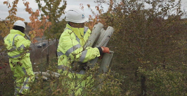 Legacy tree shelters removed for recycling
