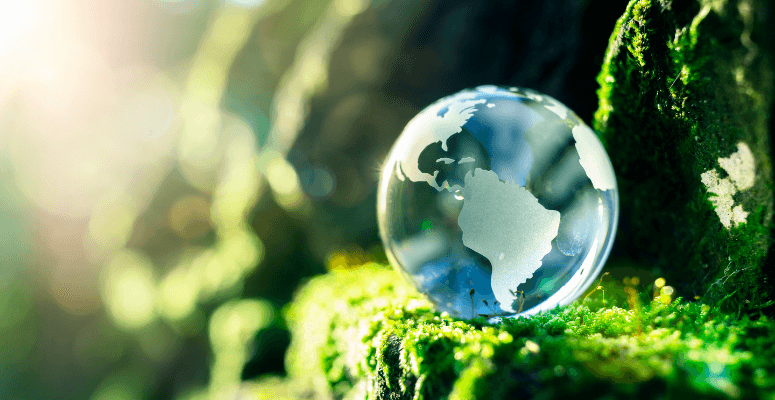 Landscape Institute and BALI to launch new carbon report