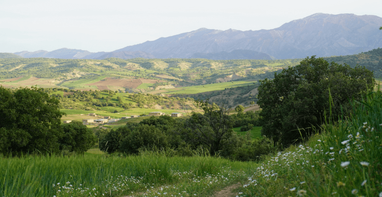 Millions invested into rural community green spaces