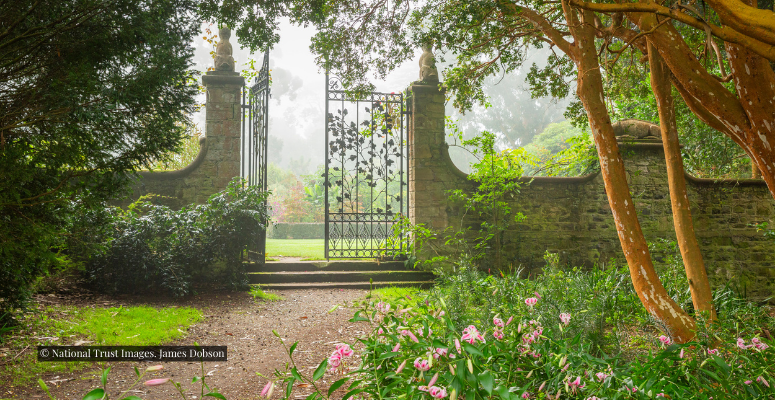 Mount Stewart gardens wins climate mitigation award