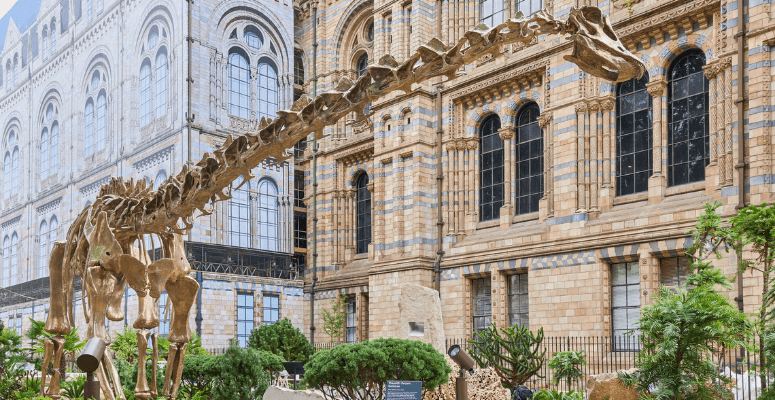 Natural History Museum unveils new urban gardens