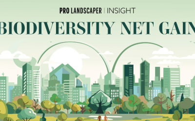New insight guide launches for biodiversity net gain