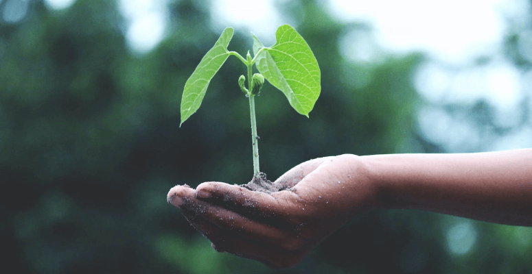 Origin Amenity makes sustainable driven acquisition