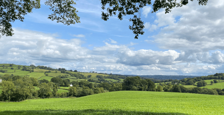 Over 23,000 football fields worth of natural habitat to be secured by biodiversity laws