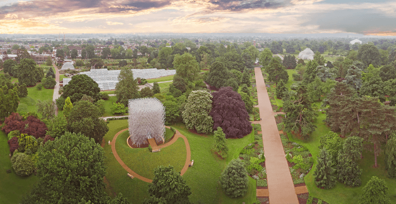 Over half of RBG Kew’s trees could be at risk, finds study