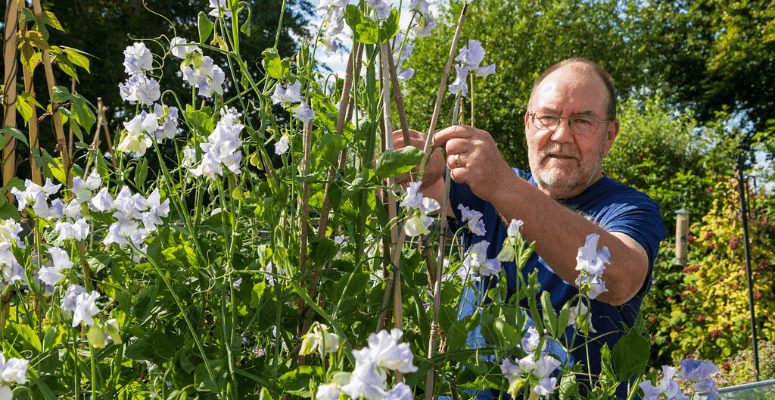 Plant Heritage seeks donations for vital plant conservation work