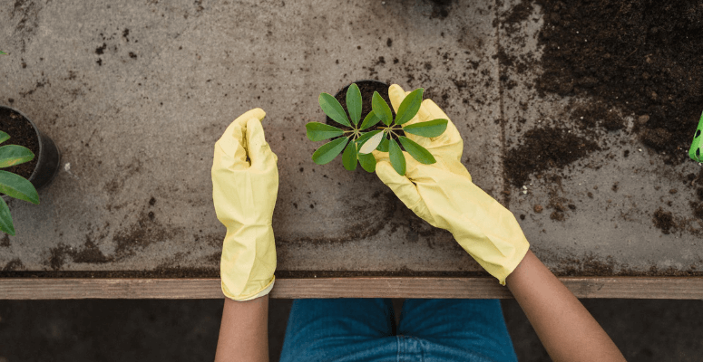 Environmental groups pledge to improve workforce diversity