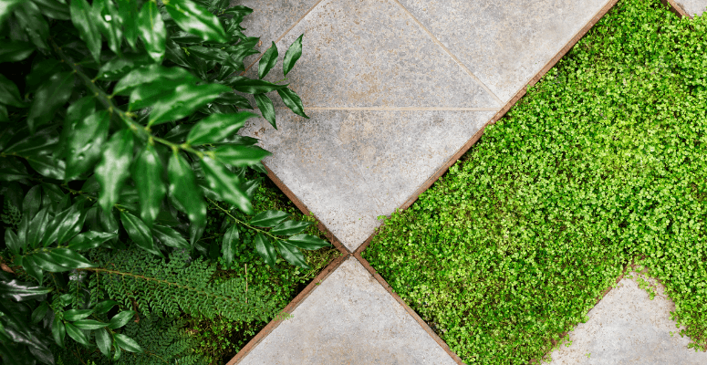 Enhancing Outdoor Spaces: Key Considerations for Specifying Natural Stone