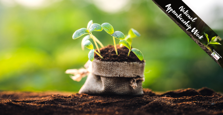 Rethinking the delivery of land-based apprenticeships with Lantra