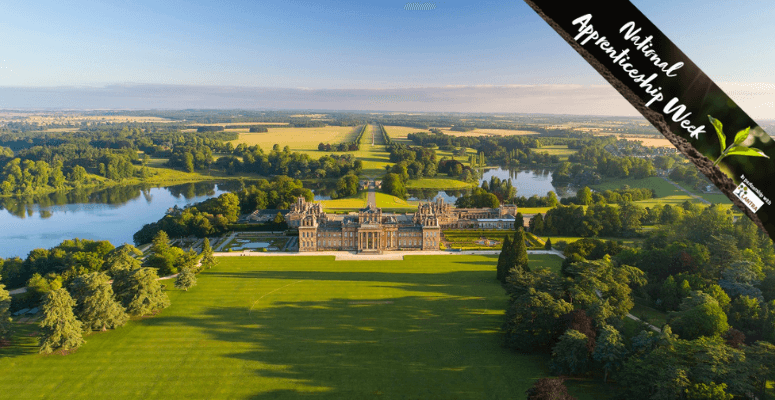 On the road to success: Blenheim Palace to train over 100 apprentices before 2027