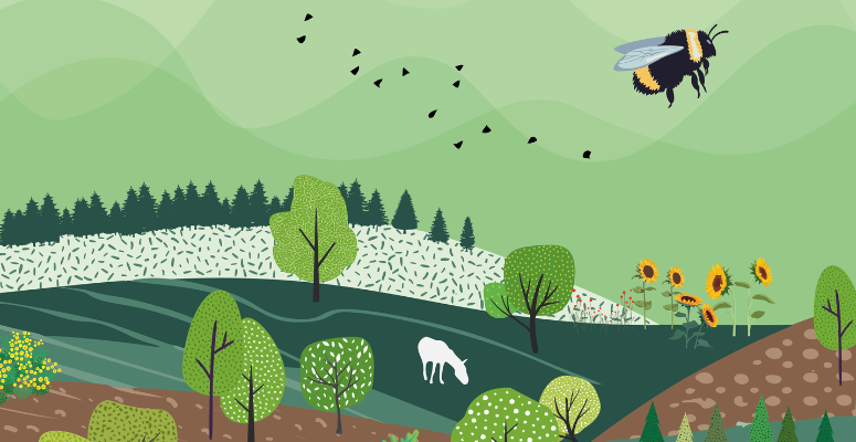 Pro Landscaper launches Biodiversity Net Gain Workshops Day