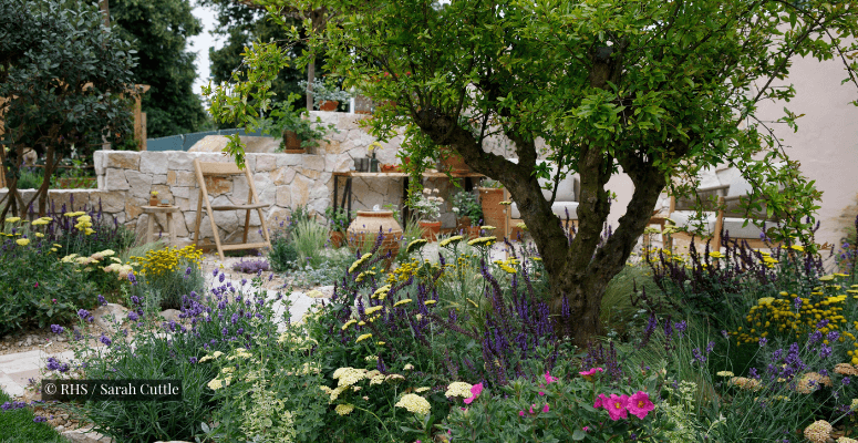 RHS Hampton Court 2024: Top awards