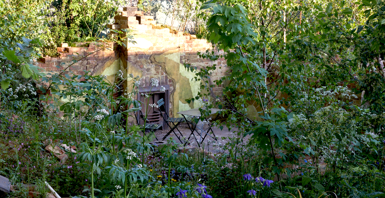 Project Giving Back extends its RHS Chelsea support to 2026