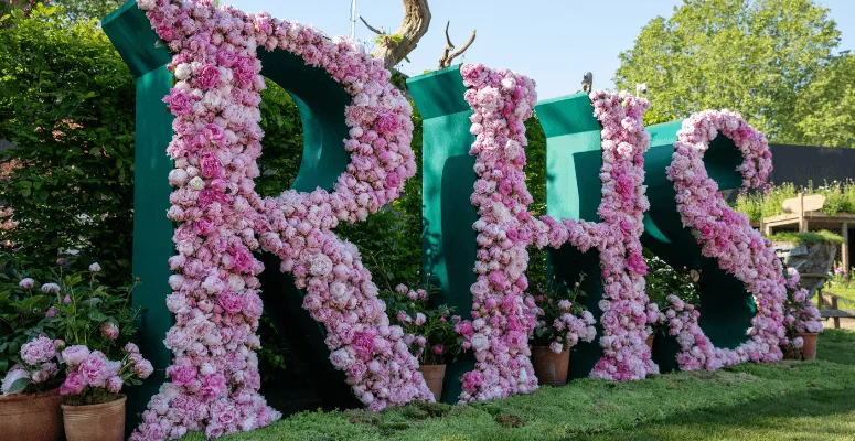 Project Giving Back to revisit past applicants for RHS Chelsea 2026
