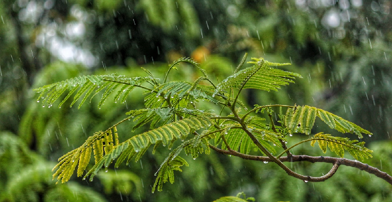 A wet spring dampens construction output in May