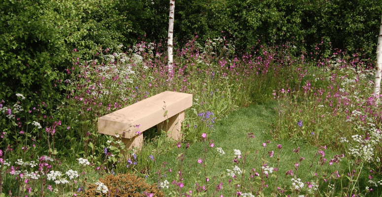 Rolawn partners with Wildflower Turf to “create more biodiverse spaces”
