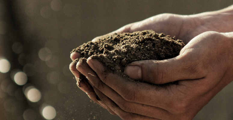 Six inches of soil’s first global screening
