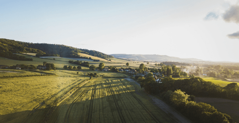 South Downs National Park launches biodiversity investment scheme