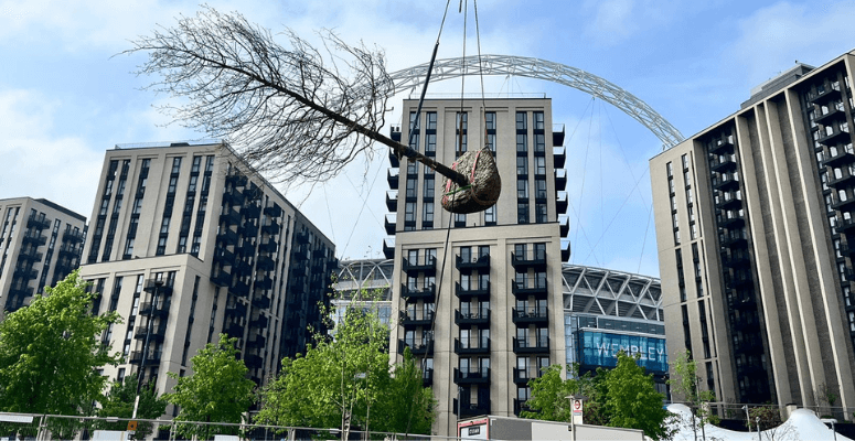 Surrey landscaping company awarded Wembley Park project