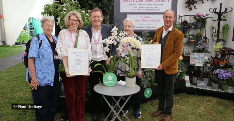 The Mathers Foundation wins Brickell Award 2024 at RHS Hampton Court