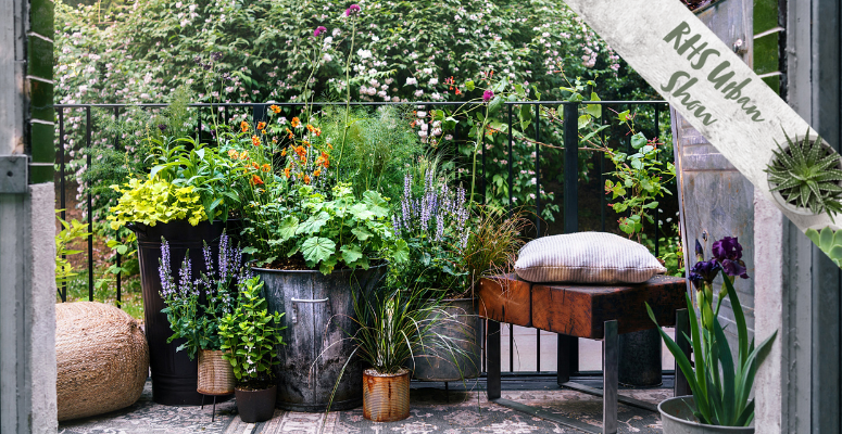 9 top tips for balcony gardens according to Chelsea designers