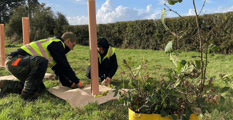 Tubex donates recyclable tree shelters to tree planting courses