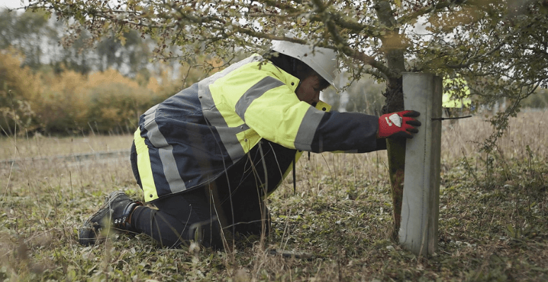 Tubex urges tree planters to protect the environment by collecting tree shelters