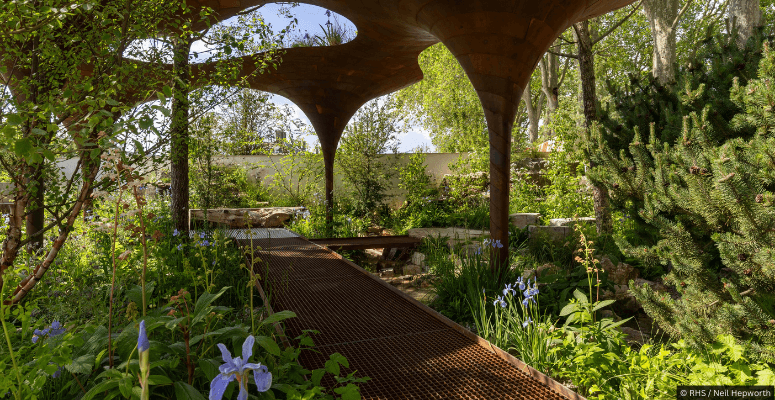 Water-saving makes a splash at RHS Chelsea Flower Show