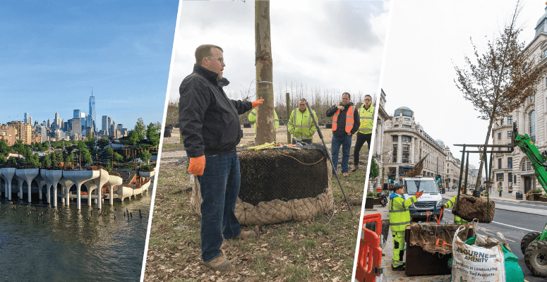 Webinar: Securing Trees in Challenging Planting Solutions
