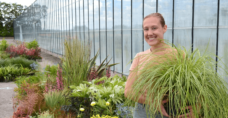 Wyevale Nurseries ‘Makes a Statement’ at this years RHS Tatton