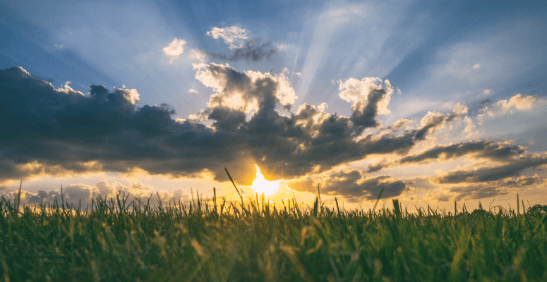 YPHA: A continued commitment to mental health